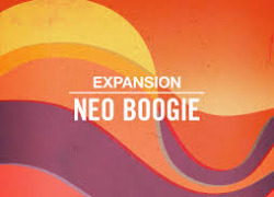native instruments Native Instruments Maschine Expansion - Neo Boogie